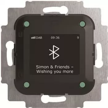 Busch-Jaeger Busch-Radio BTconnect DAB+ z interfejsem Bluetooth 8217 U-101 (2CKA008200A0278)