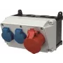 MENNEKES Elektrotechnik GmbH & Co. KG Kombinacja gniazd 910007 (910007)