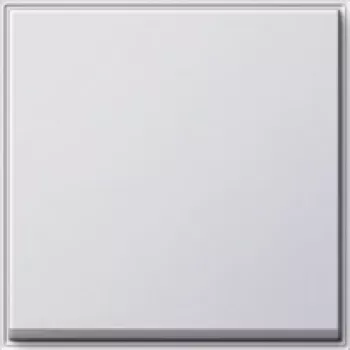 Gira 029666 Urządzenie sieciowe Biały