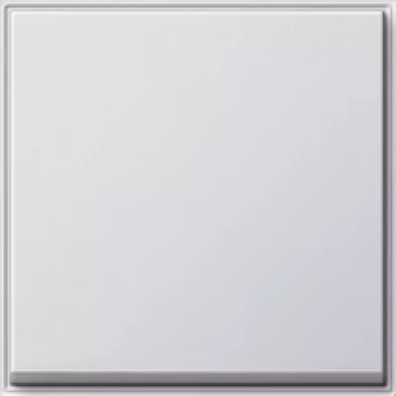 Gira 029666 Urządzenie sieciowe Biały