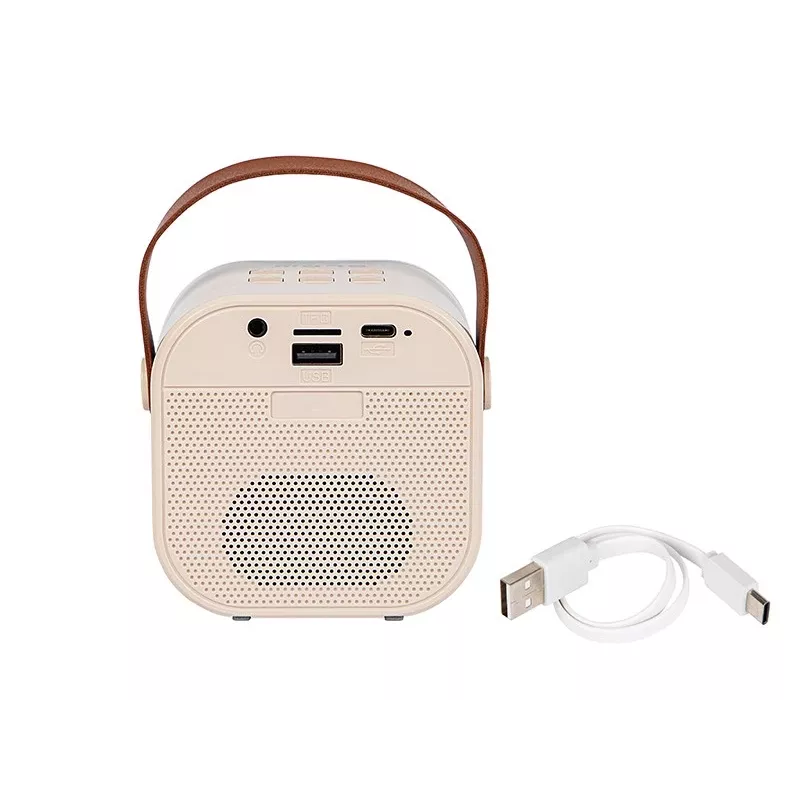 Karaoke Speaker, Głośnik Bluetooth KARAOKE RGB, 30 W