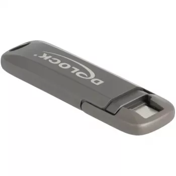 Pamięć USB DeLOCK 54013 512 GB USB Type-C Szary