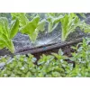 Dysza rozpryskowa Gardena 13321-20 do systemu nawadniania kroplowego