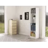 Biurkowa biblioteczka Topeshop R50 BIEL 5 półek biała