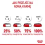 Sucha karma dla psa Royal Canin Starter Mother & Babydog 1 kg — kurczak, 30% białka, 22% tłuszczu
