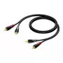 Kabel audio Procab 2x RCA/Cinch męski, długość 1 m (model 1KPCL079)