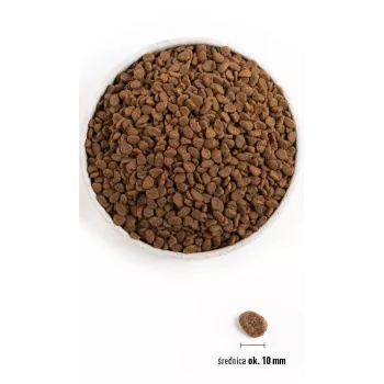 ORIJEN Six Fish Cat - sucha karma dla kota - 5,4kg