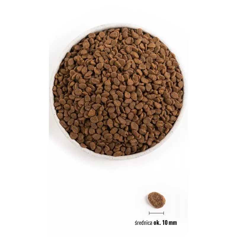 ORIJEN Six Fish Cat - sucha karma dla kota - 5,4kg