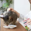 INABA Ciao Grillowana pierś z kurczaka w bulionie o smaku kurczaka - przysmaczki dla kota - 25g