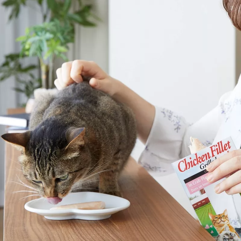 INABA Ciao Grillowana pierś z kurczaka w bulionie o smaku kurczaka - przysmaczki dla kota - 25g