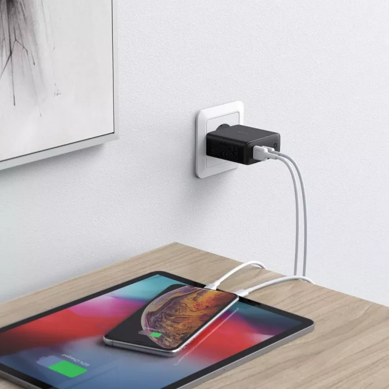 Ładowarka ścienna PA-D3 2xUSB Power Delivery (1xUSB+1xUSB C) 5,4A 60W Dynamic Detect