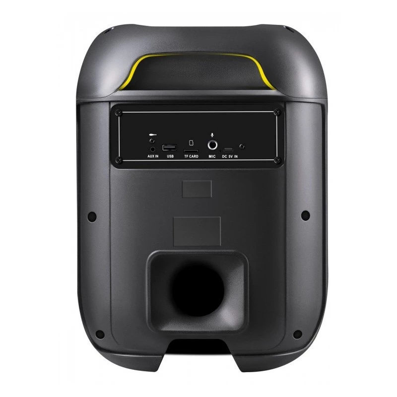 Głośnik Bluetooth Boome R 65W