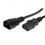 Kabel zasilający ROLINE zielony 19.44.1012 3 m IEC C14 IEC C13 250 V 10 A