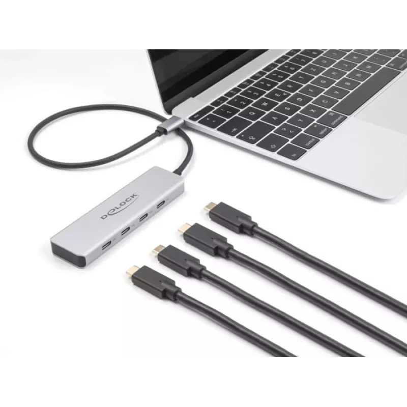 DeLOCK USB-C Hub 10 Gb/s 4 porty Aluminiowy Szary