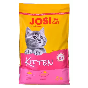 Sucha karma dla kociąt JosiCat Kitten 10 kg – kompletne żywienie dla rosnących kociąt