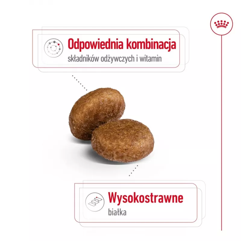 Sucha karma dla psa Royal Canin Maxi Adult 5+ 15 kg — kurczak, białko 26%, tłuszcz 17%