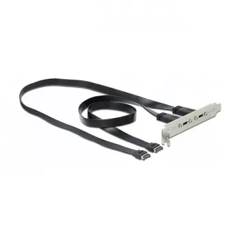 Slot Bracket DeLOCK 89935 z 2 portami USB Type-C