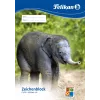 Blok papieru artystycznego Pelikan 224840