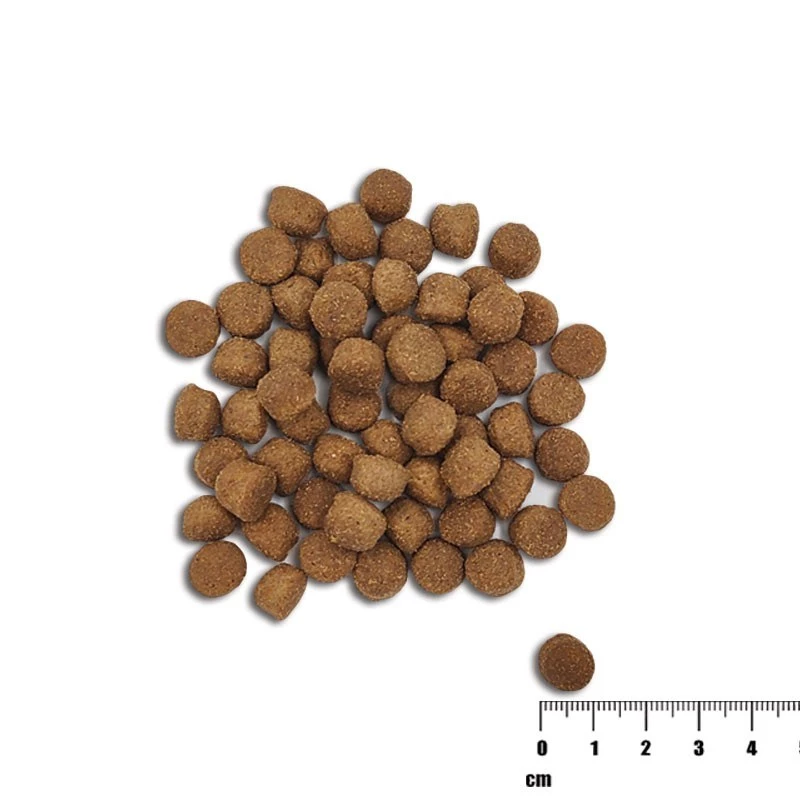 Sucha karma dla psa VETEXPERT Raw Paleo Healthy Grain Puppy Łosoś i Jęczmień 10 kg, białko 29% tłuszcz 17% wilgotność 9%