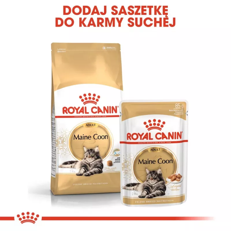 Sucha karma dla kota Royal Canin Maine Coon Adult 10 kg — drób (kurczak), 31% białka, 20% tłuszczu
