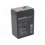 Akumulator kwasowo-ołowiowy europower EP4.5-6 6V 4.5Ah