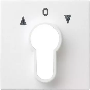 Gira 066403 Urządzenie sieciowe Białe