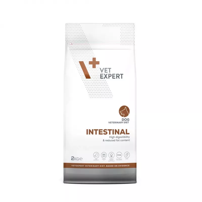 VET EXPERT Veterinary Diet Intestinal Dog - sucha karma dla psa - 2 kg