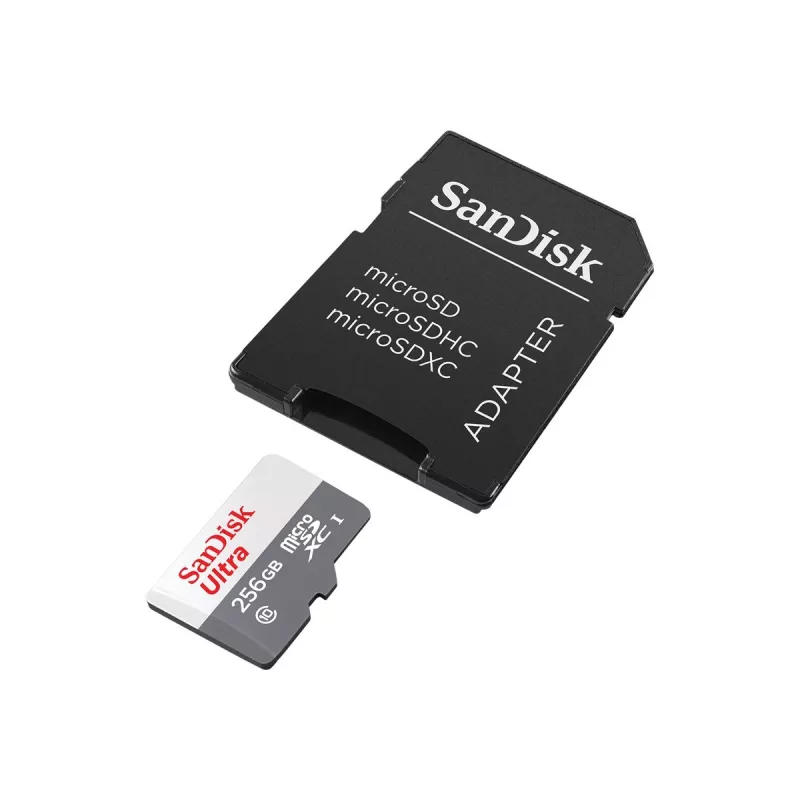 Pamięć flash SanDisk 256 GB MicroSDXC UHS-I SDSQUNR-256G-GN6TA