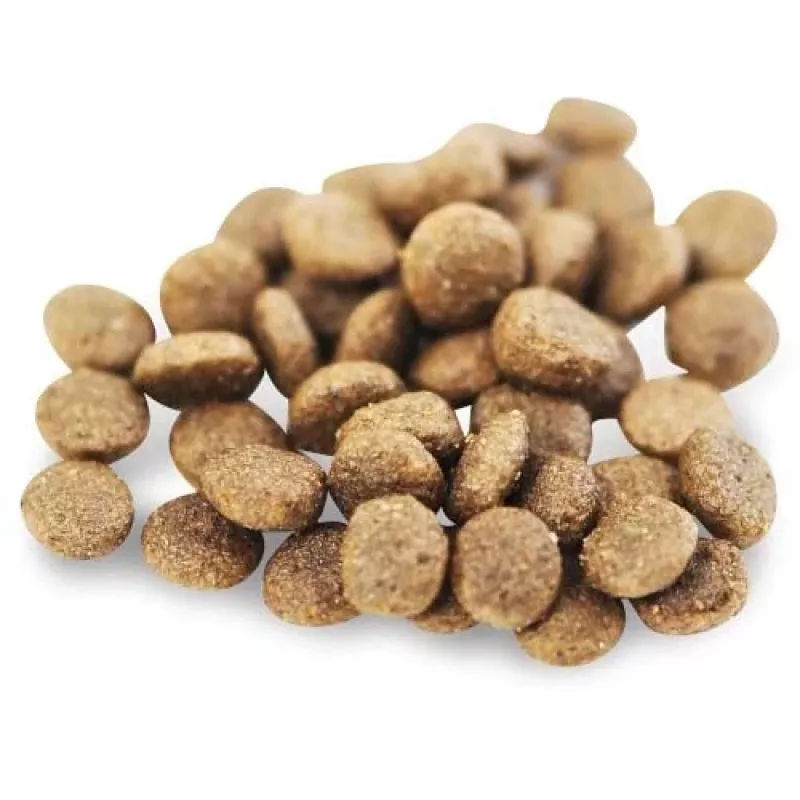 Fish4Dogs Superior Senior S z łososiem sucha karma dla psów ras małych, 1,5 kg