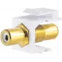 Moduł Keystone ShiverPeaks 08-10065 Płaski Złoty Biały RCA