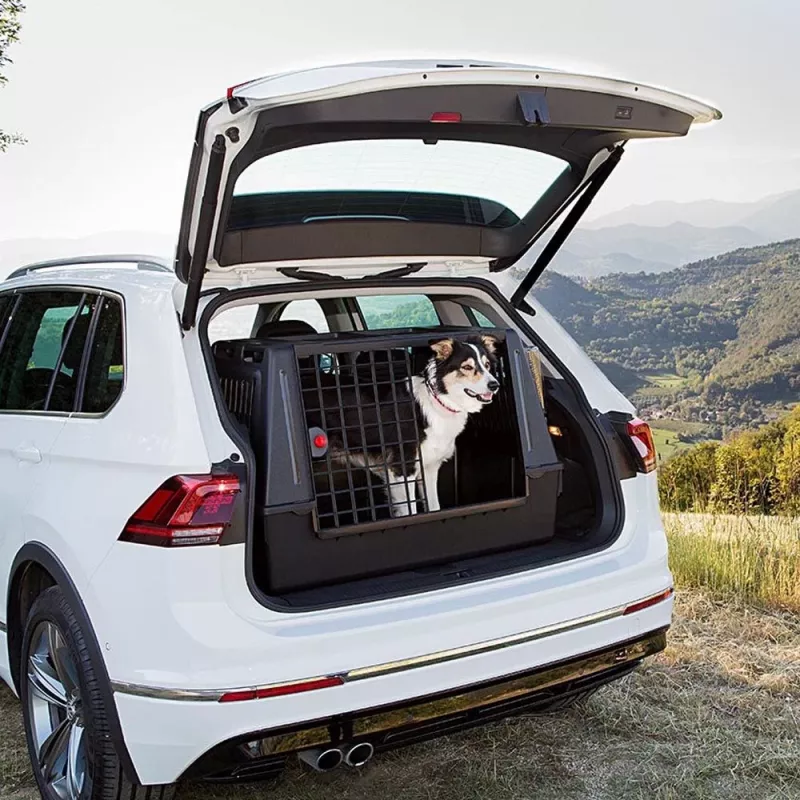 FERPLAST Atlas Car 100 Scenic, transporter dla zwierząt