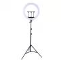 Lampa pierścieniowa LED 45 cm ze statywem do 2,1 m to produkt Extra Digital z naszej gamy pierścieni oświetleniowych. Kup online w RPA w DistriNode.