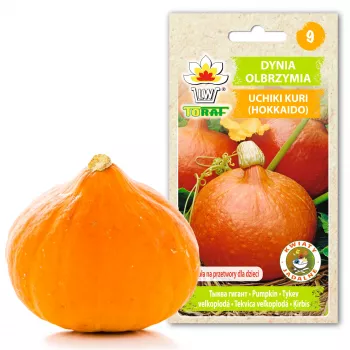Nasiona dyni Uchiki Kuri Toraf, opakowanie 5g