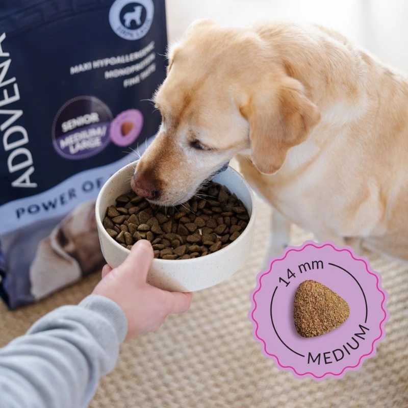 ADDVENA Power of Nature Senior Medium/Large Lamb - sucha karma dla psa - 10kg