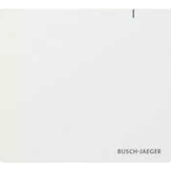 BUSCH JAEGER BJ SAP.13 System Access Point 3.0 (2CKA006200A0868)