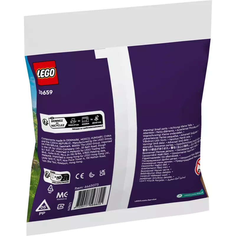 Bricks Friends 30659 Flower Garden