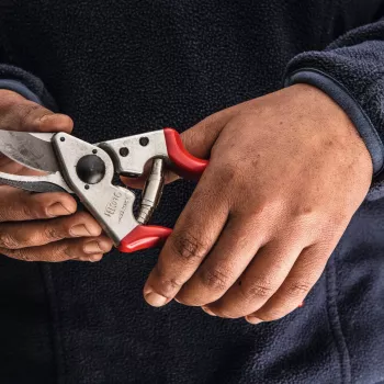 Felco | Sekator leworęczny | FELCO 16