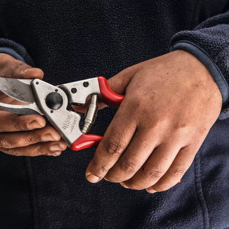 Felco | Sekator leworęczny | FELCO 16