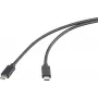 Renkforce USB-C -Displaykabel USB 3.2 Gen2x2 Plug 50.00 cm Czarny TPE jacket (RF-5501100)