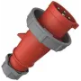 Wtyczka AM-Top 32A4p 3h400-440V IP67 (2175B)