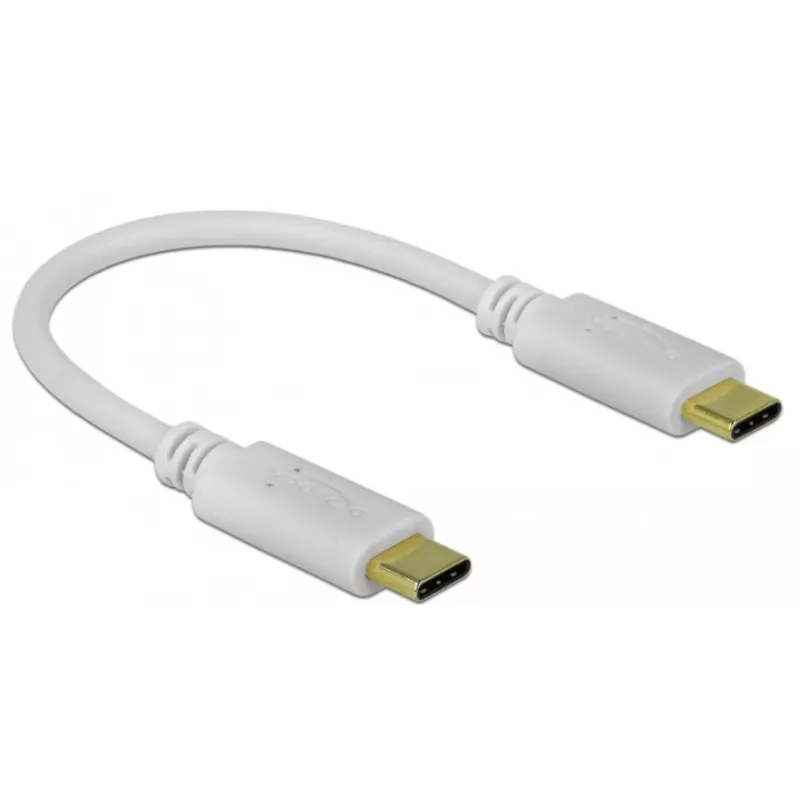 Delock - kabel USB-C / zasilający - 24-pin USB-C (M) do 24-pin USB-C (M) - 5 A - 15 cm - zasilanie USB (100 W), obsługa Power Delivery 2.0 - biały (85357)