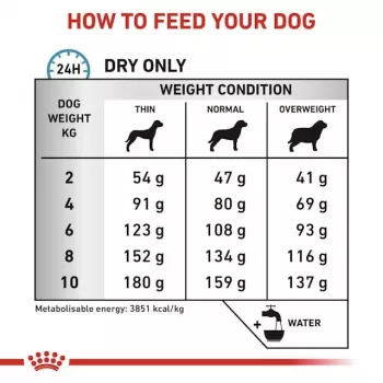 Sucha karma dla psa Royal Canin Anallergenic Small — hipoalergiczna formuła dla małych psów dorosłych, 3 kg, smak mięsny, bezglutenowa i bezcukrowa