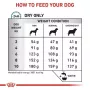 Sucha karma dla psa Royal Canin Anallergenic Small — hipoalergiczna formuła dla małych psów dorosłych, 3 kg, smak mięsny, bezglutenowa i bezcukrowa