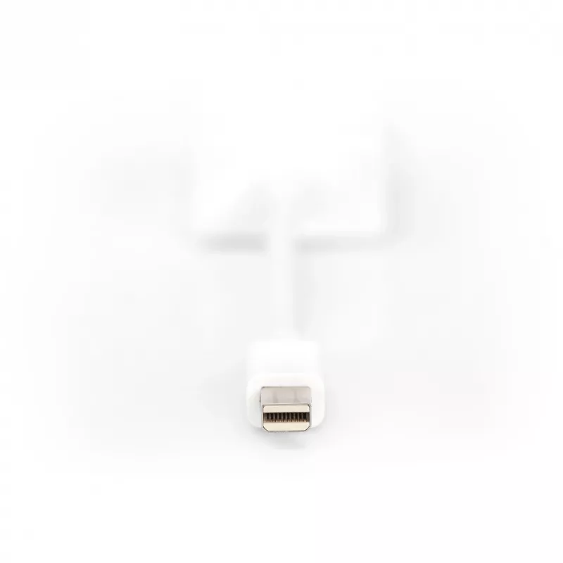 adapter kablowya DisplayPort Digitus DB-340407-001-W