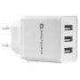Ładowarka Everactive 3x USB 3, 4A BIAŁA