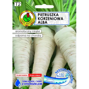 Taśma nasienna Apte Pietruszka Alba 6 m — średnio późna odmiana pietruszki do przetwórstwa