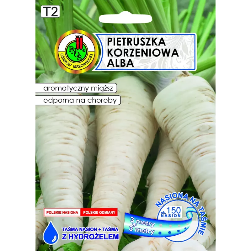 Taśma nasienna Apte Pietruszka Alba 6 m — średnio późna odmiana pietruszki do przetwórstwa