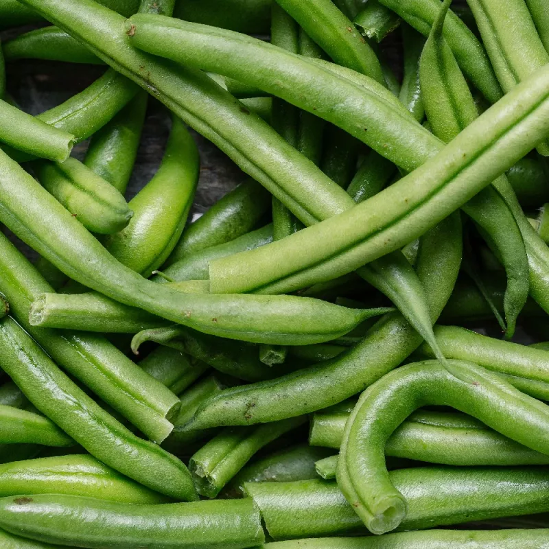 Nasiona fasoli karłowej zielonej Nomad, 50 g - Nasiona warzyw
