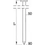 Gwoździe w kręgach BeA BDC 3.1 x 80 mm gładkie bez powłoki, opakowanie 3600 szt.