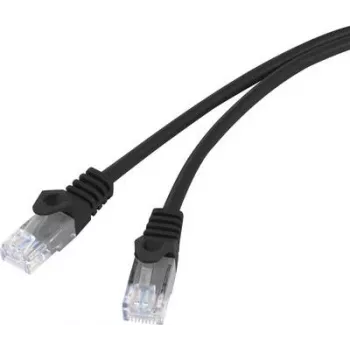 BASETech BT-1717480 Kabel sieciowy Czarny 10 m Cat5e U/UTP (UTP) (BT-1717480)